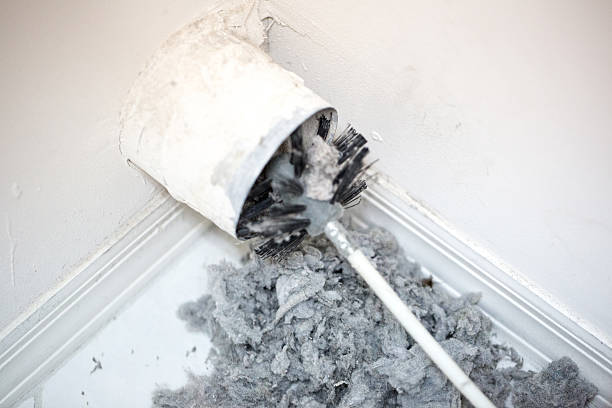 Best Duct Cleaning for Offices  in Rio Hondo, TX